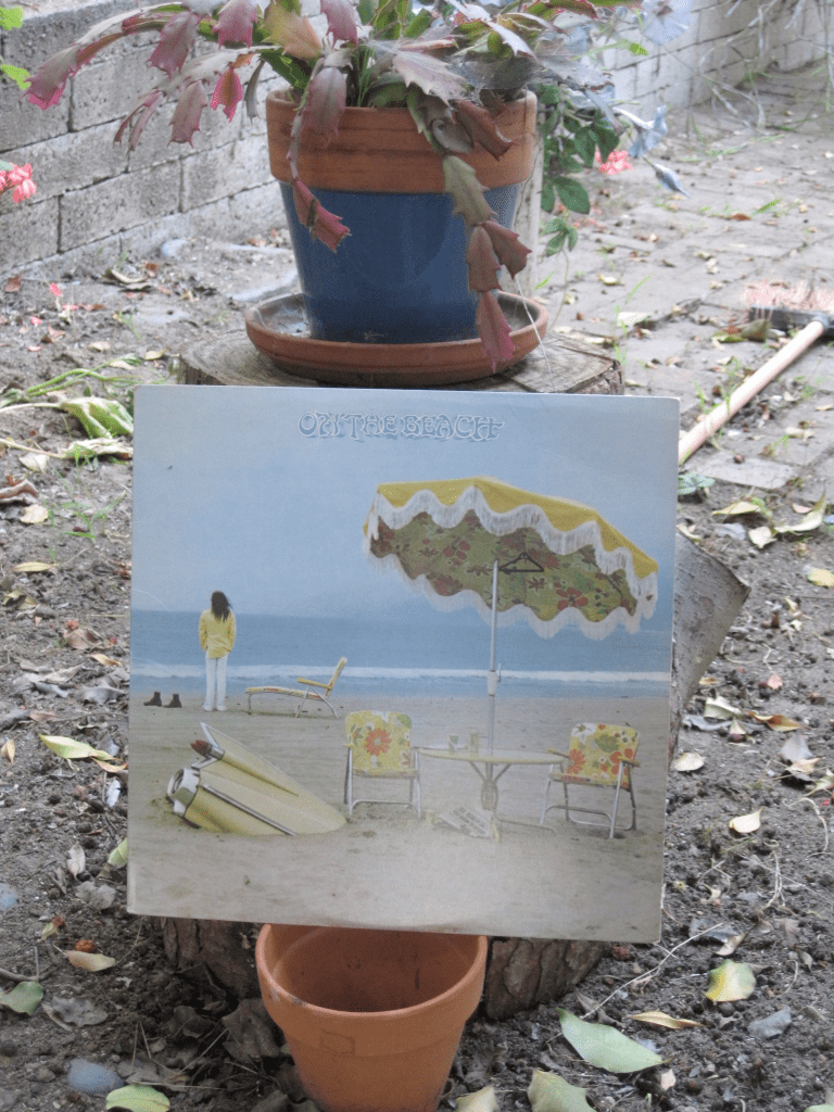 Neil Young's ON THE BEACH lp rests on a small flowerpot before a xmas cactus named "Bloomy", since gone to her reward at the paws of a beloved beast who has now, also, moved on. Los Angeles in a nutshell? (I have read that cats can hear the frequencies at which plants speak, which may be why they hate them so.)