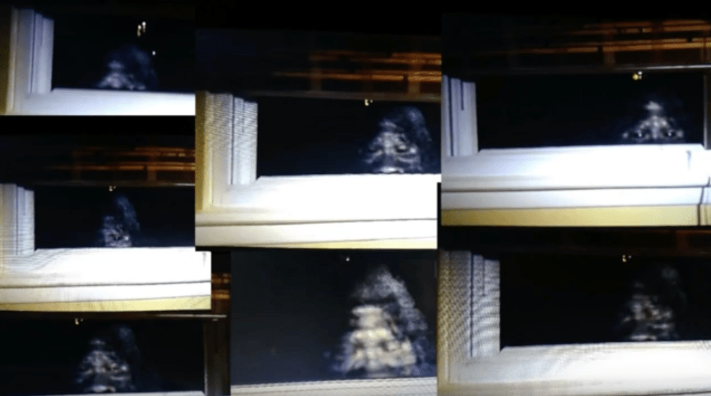 stills from a video of a bigfoot peeking in through a living room window 8 feet off the ground